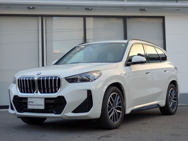 X1 xDrive20i M Sport