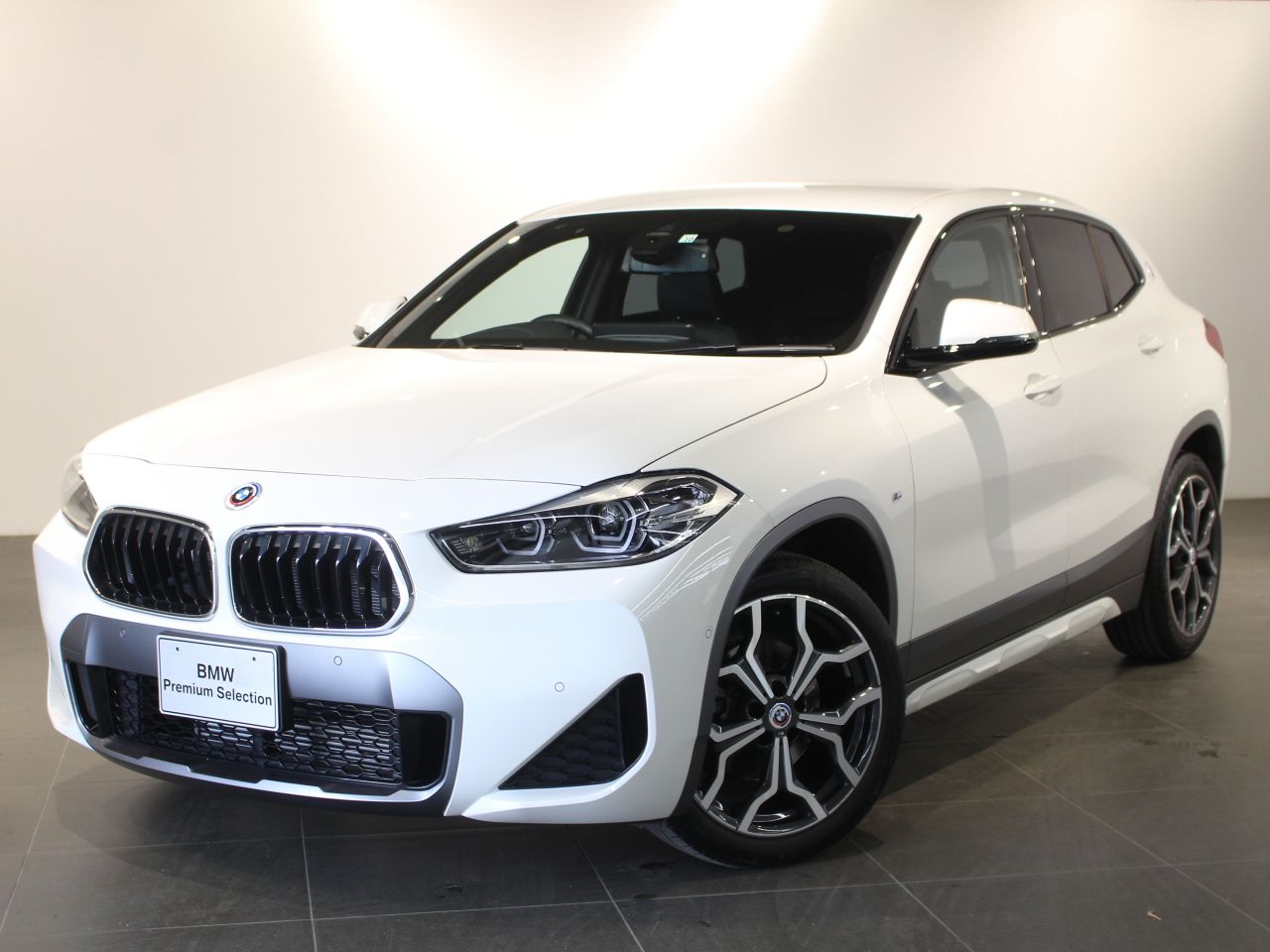 X2 sDrive18i M Sport X