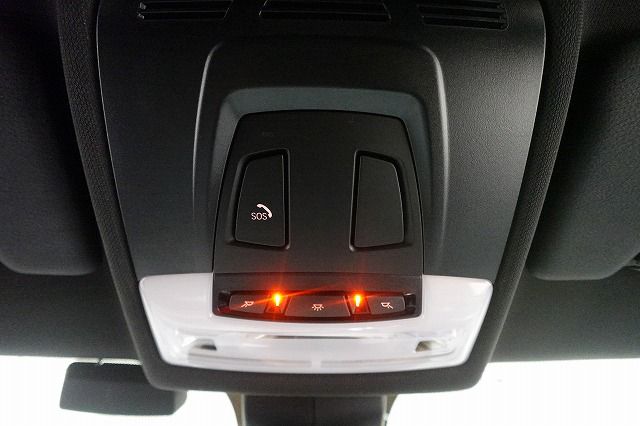 F39 X2 xDrive20i B48 2.0i SAC