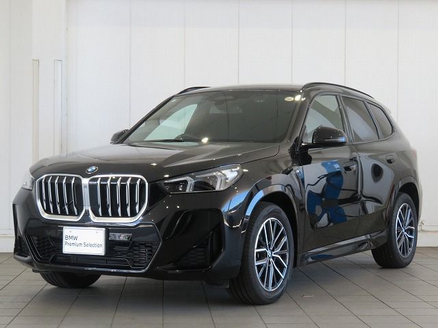 X1 xDrive20i M Sport