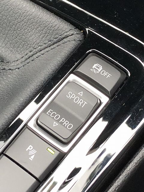 F39 X2 sDrive18i B38 1.5i SAC