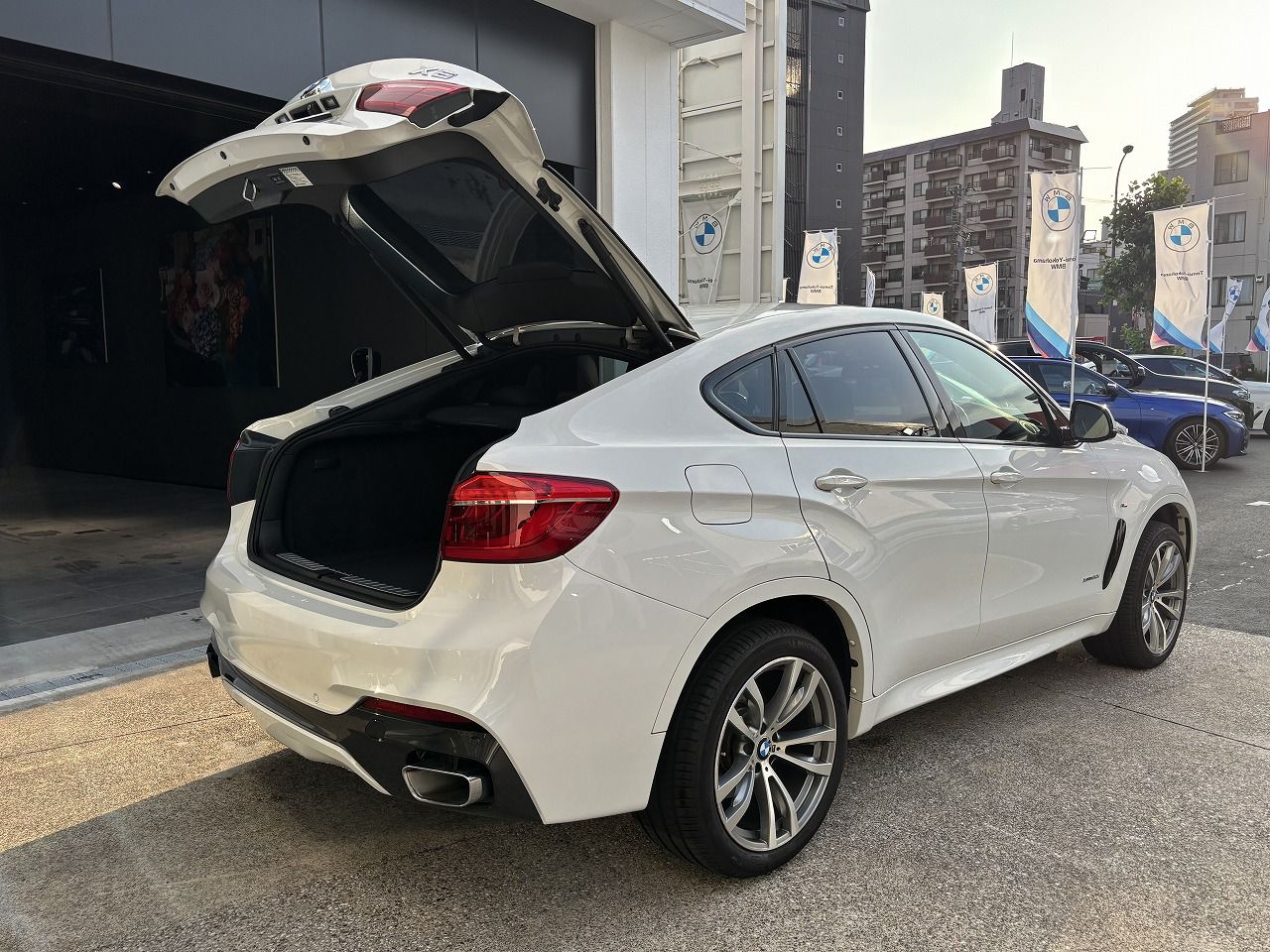 X6 XDRIVE 50I RHD