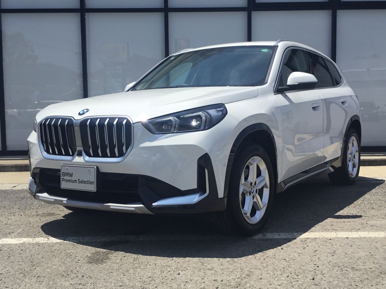X1 xDrive20d xLine