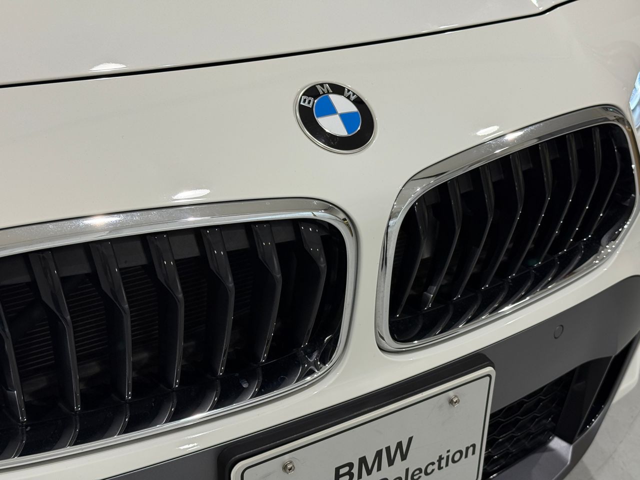 F39 X2 xDrive20d B47 2.0d