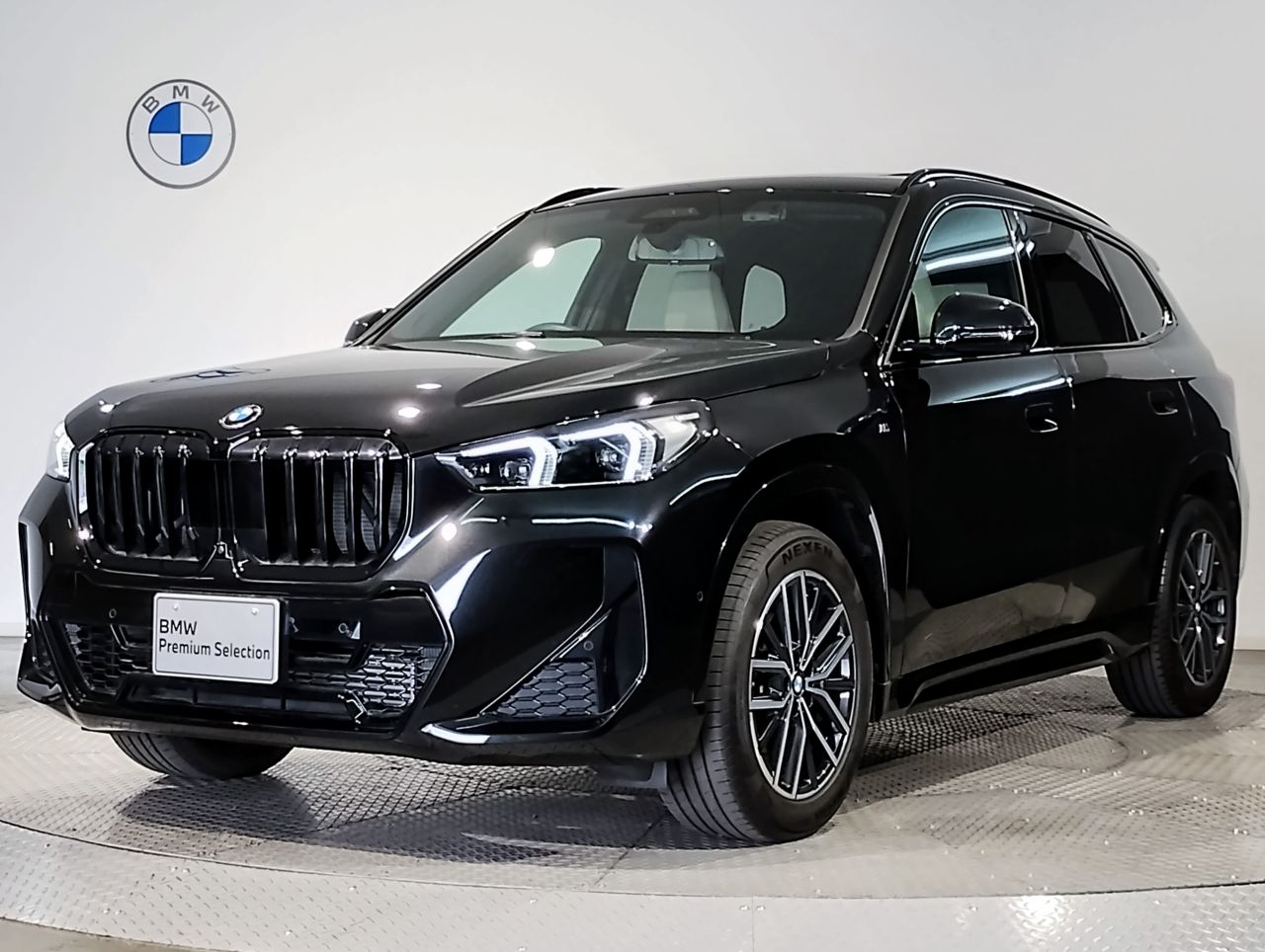 X1 xDrive20i M Sport