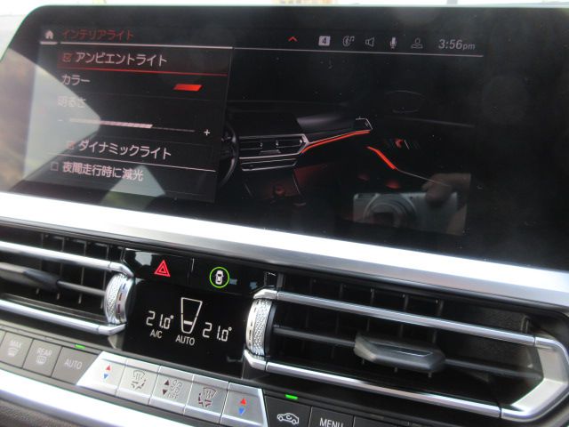 G21 318i Touring