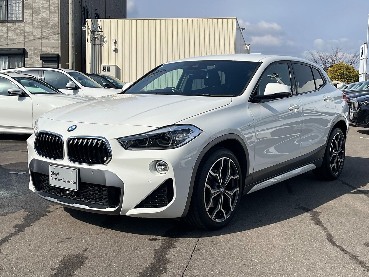 X2 sDrive18i M Sport X