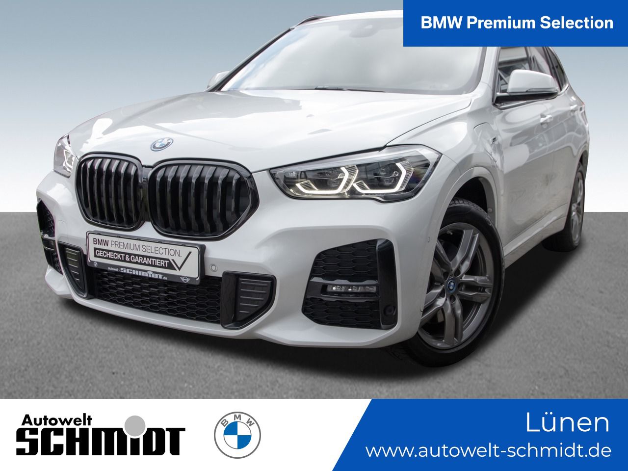 X1 xDrive25e