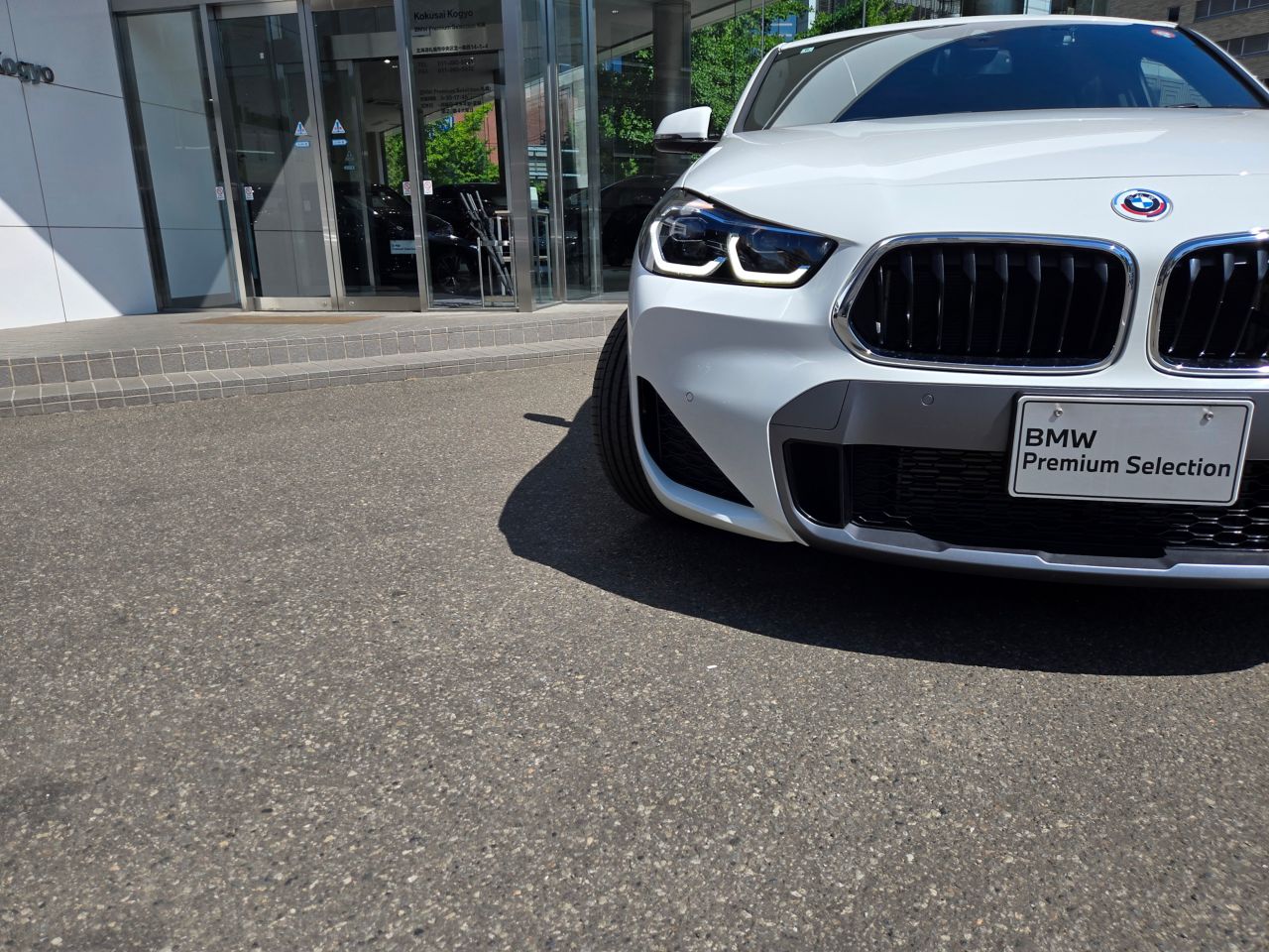 F39 X2 xDrive20d B47 2.0d
