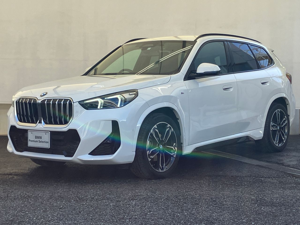 X1 xDrive20i M Sport