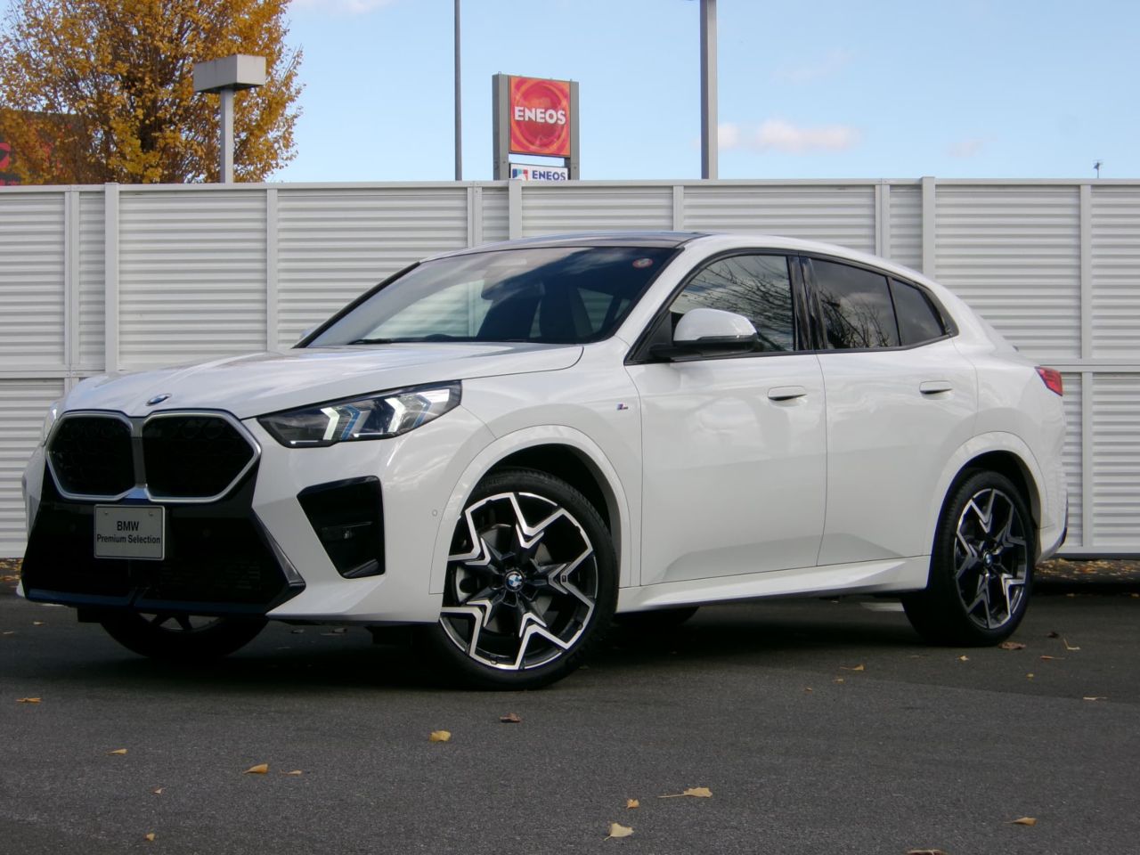 X2 xDrive20i M Sport