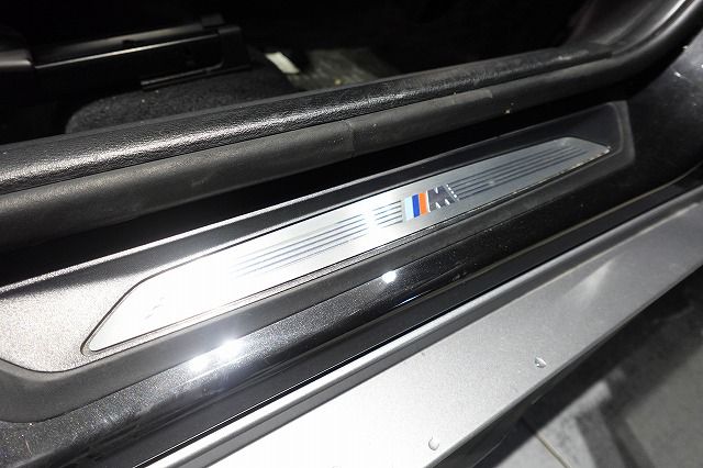 F39 X2 xDrive20i B48 2.0i SAC