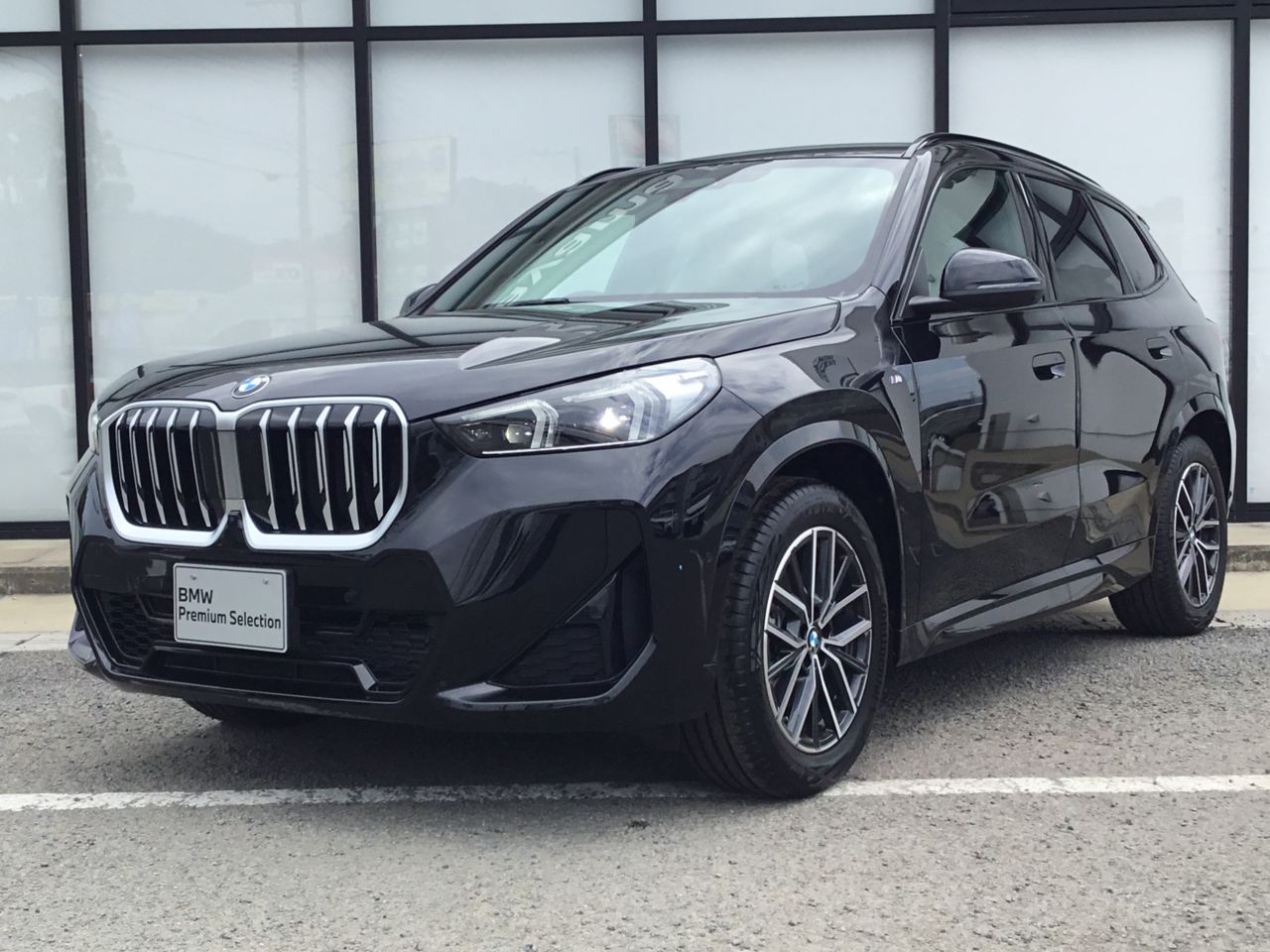 X1 sDrive18i M Sport