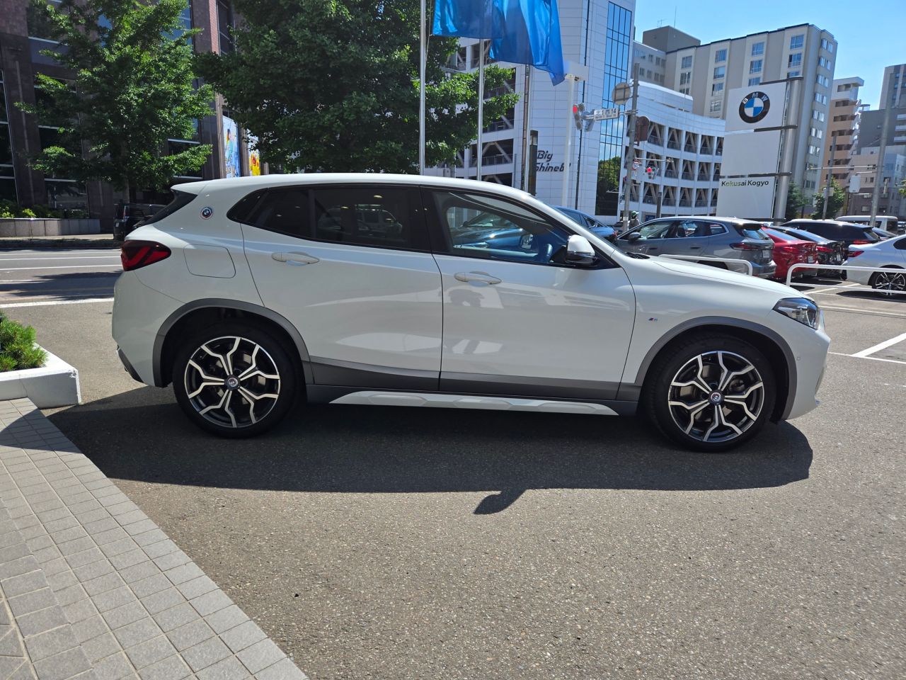 F39 X2 xDrive20d B47 2.0d