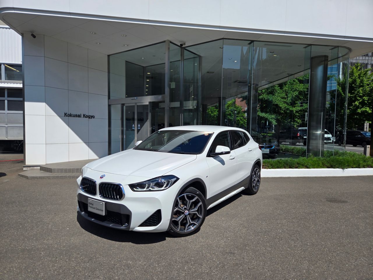 X2 xDrive20d