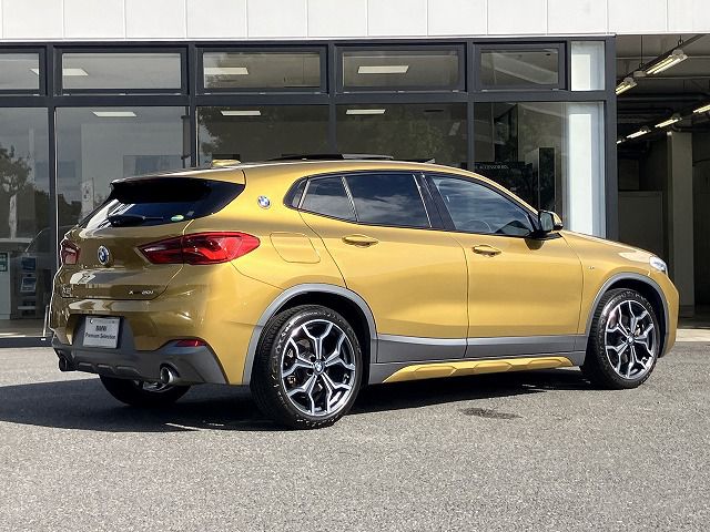 F39 X2 xDrive20i B48 2.0i SAC