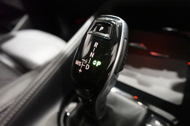 F39 X2 xDrive20i B48 2.0i SAC