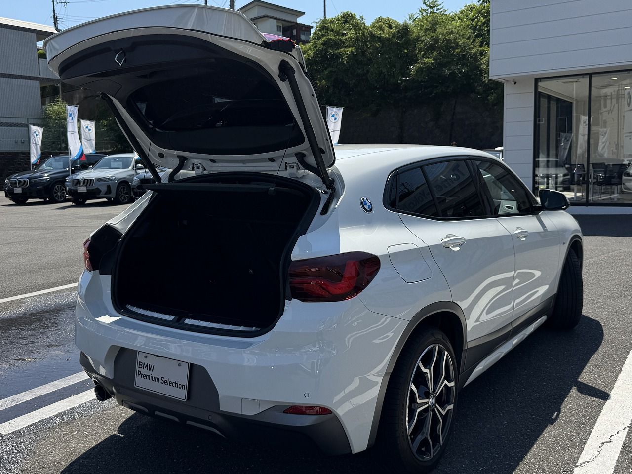 F39 X2 sDrive18i B38 1.5i SAC