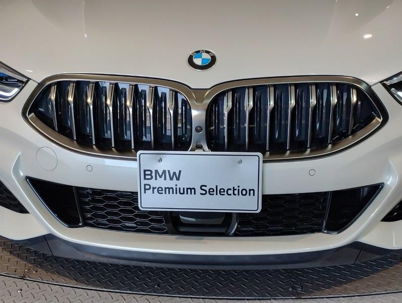 G15 M850i xDrive Coupe N63 4.4i