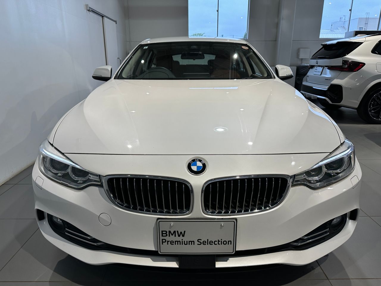 420IX GC