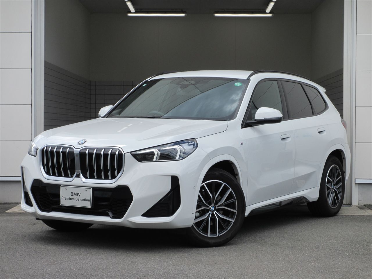 X1 xDrive20d M Sport
