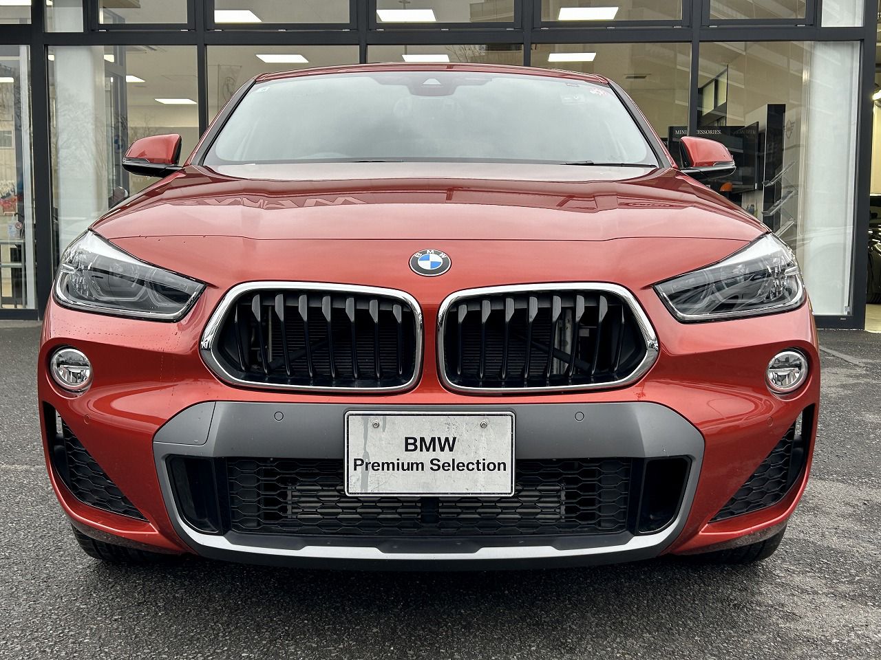 F39 X2 xDrive20i B48 2.0i SAC