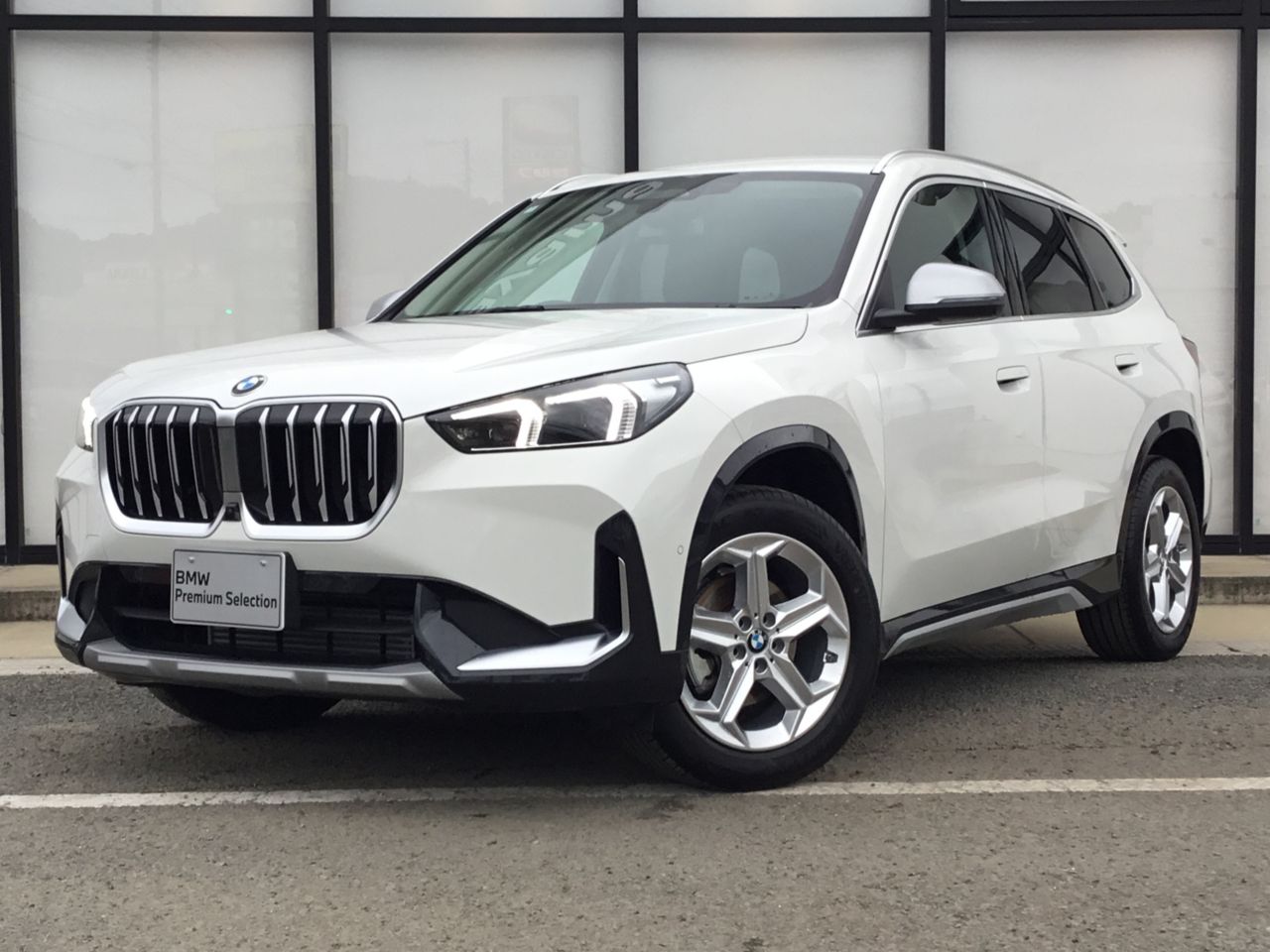 X1 xDrive20i xLine