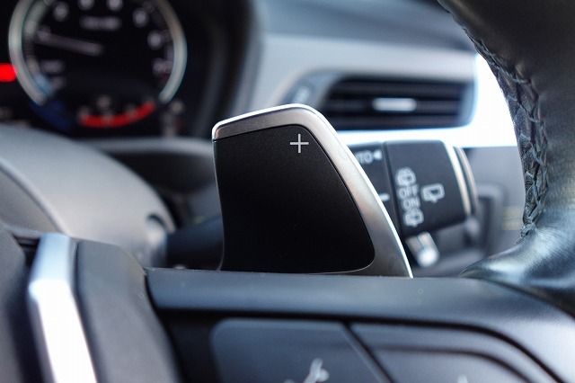 F39 X2 xDrive20i B48 2.0i SAC