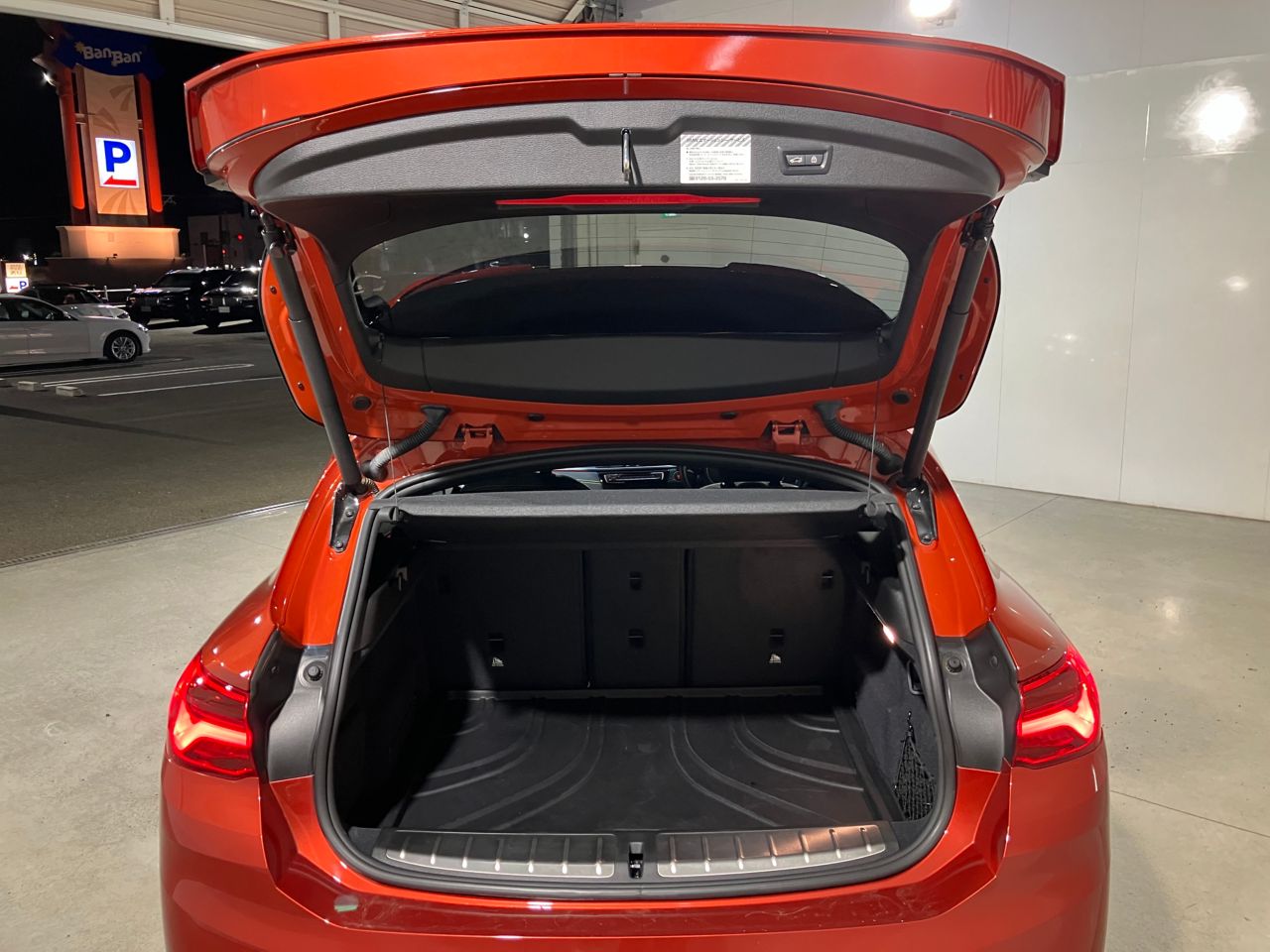 F39 X2 xDrive20i B48 2.0i SAC