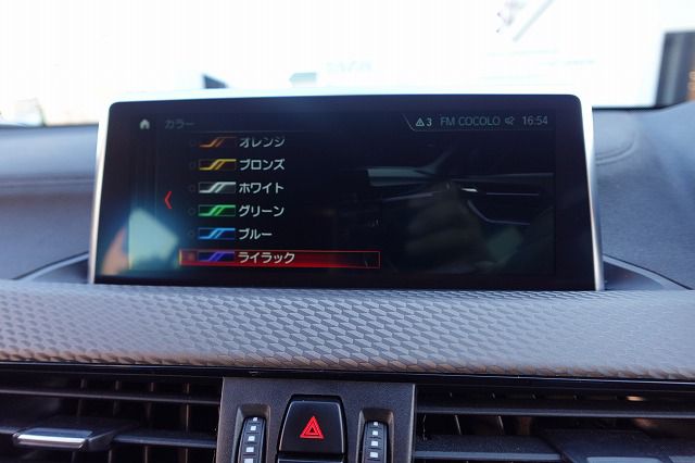 F39 X2 xDrive20i B48 2.0i SAC