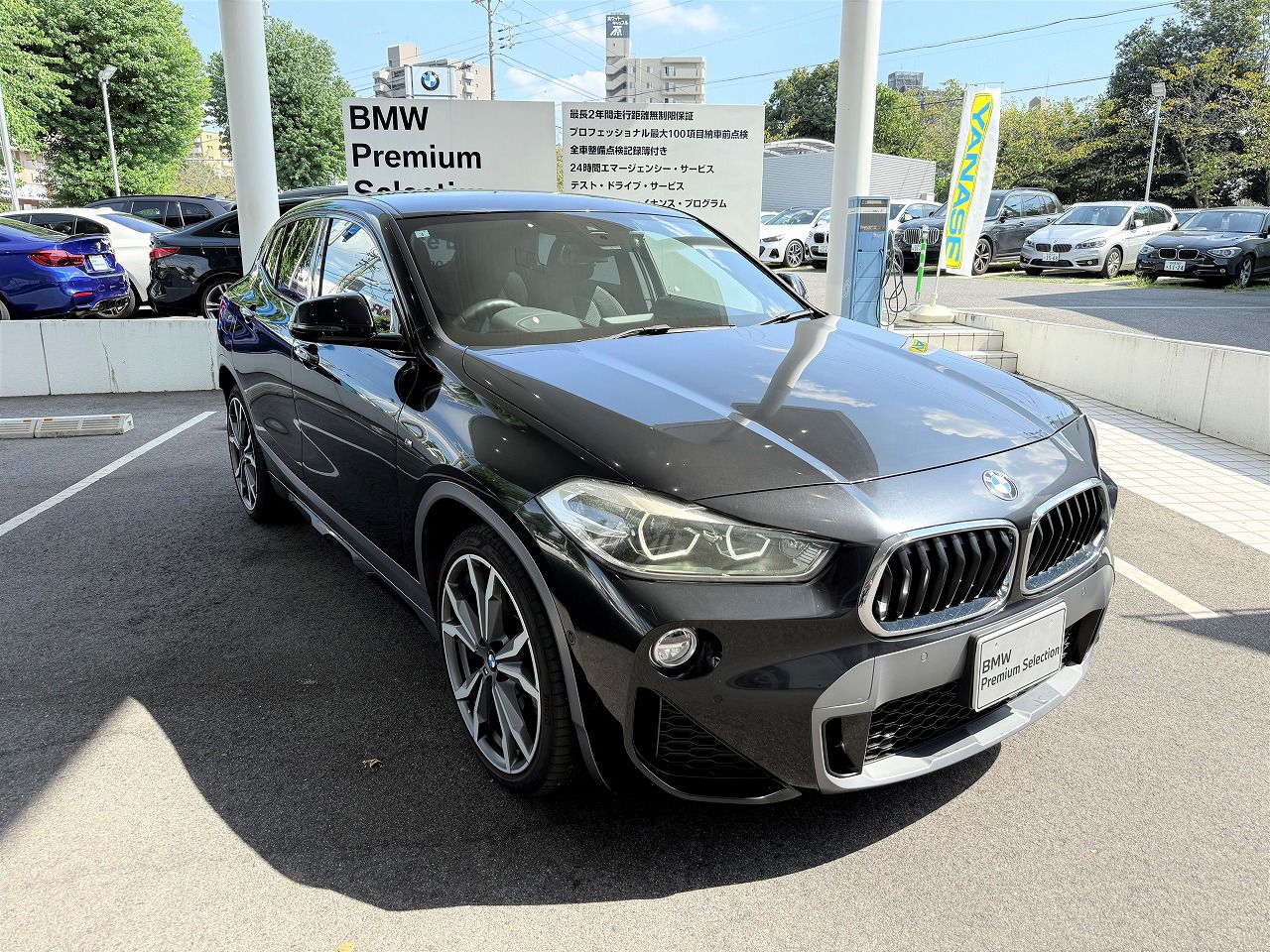 F39 X2 xDrive20i B48 2.0i SAC