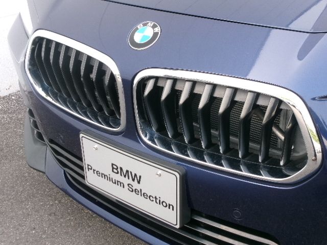 F39 X2 xDrive20i B48 2.0i SAC