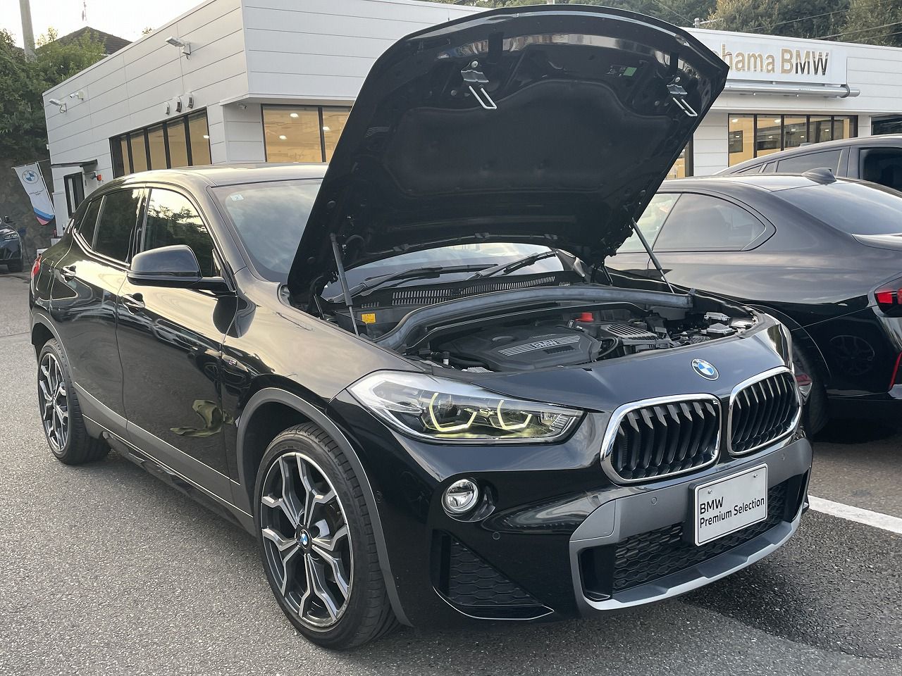 F39 X2 sDrive18i B38 1.5i SAC