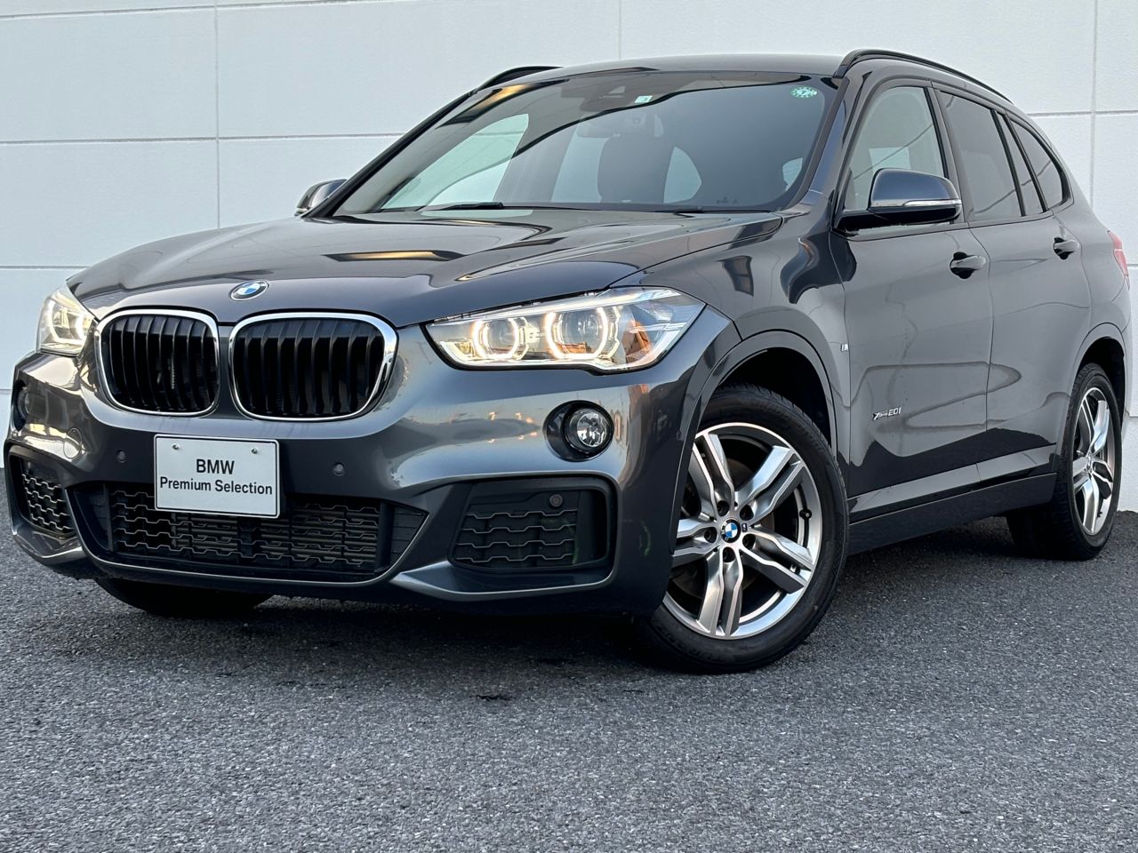 X1 xDrive20i M Sport