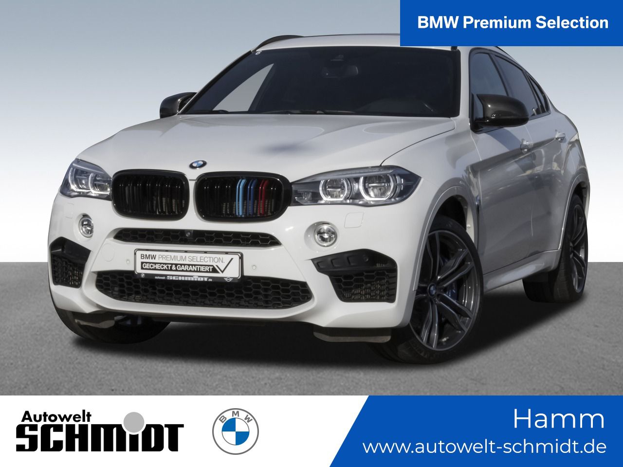 X6 M