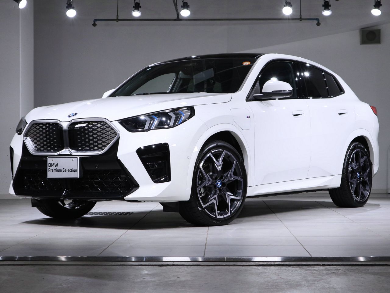 iX2 xDrive30 M Sport