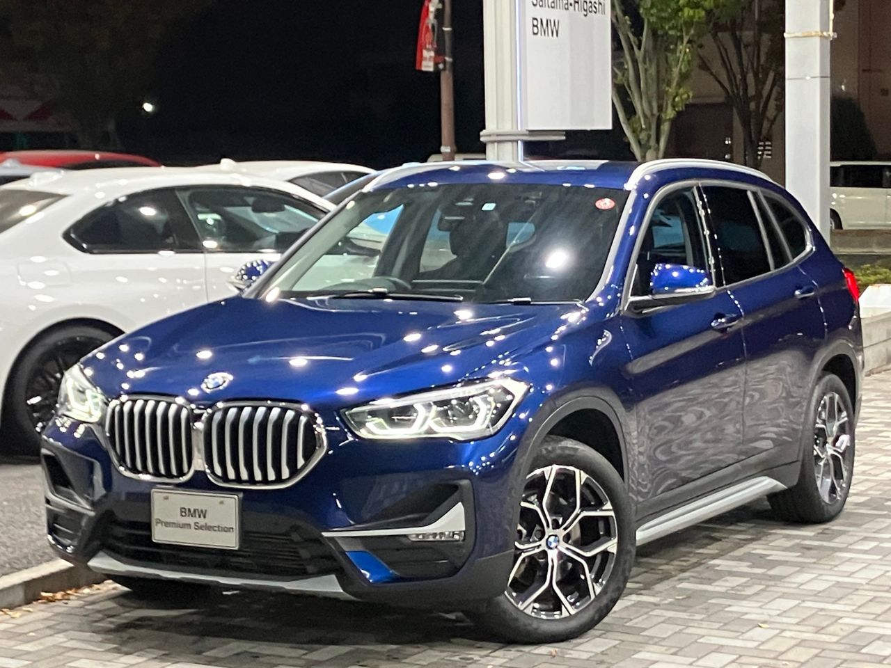 X1 xDrive 18d xLine