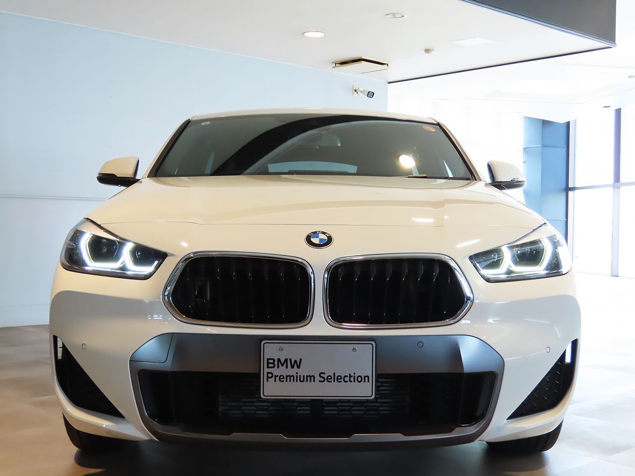 F39 X2 xDrive20d B47 2.0d