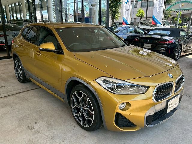 F39 X2 xDrive18d SAC B47 2.0d