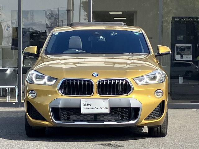 F39 X2 xDrive20i B48 2.0i SAC