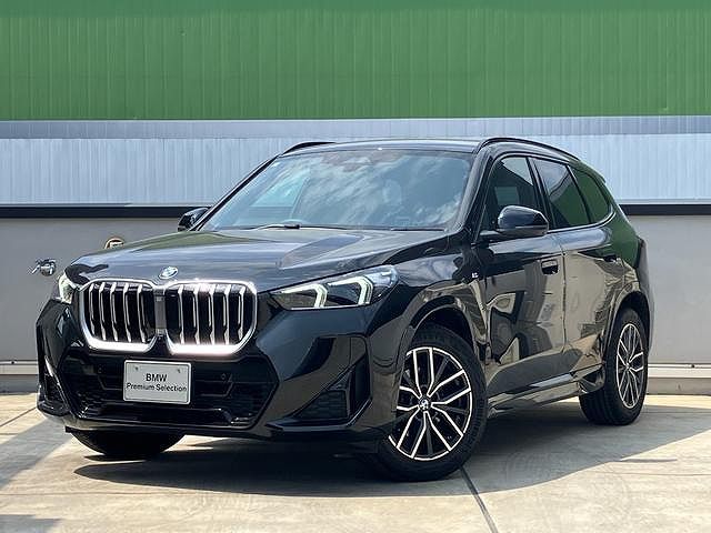 X1 sDrive18i M Sport