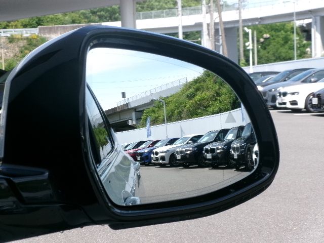 iX2 xDrive30 MSP