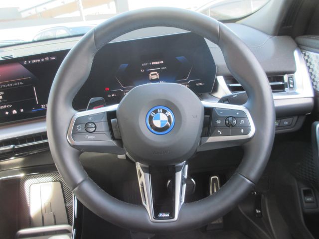 iX2 xDrive30 MSP