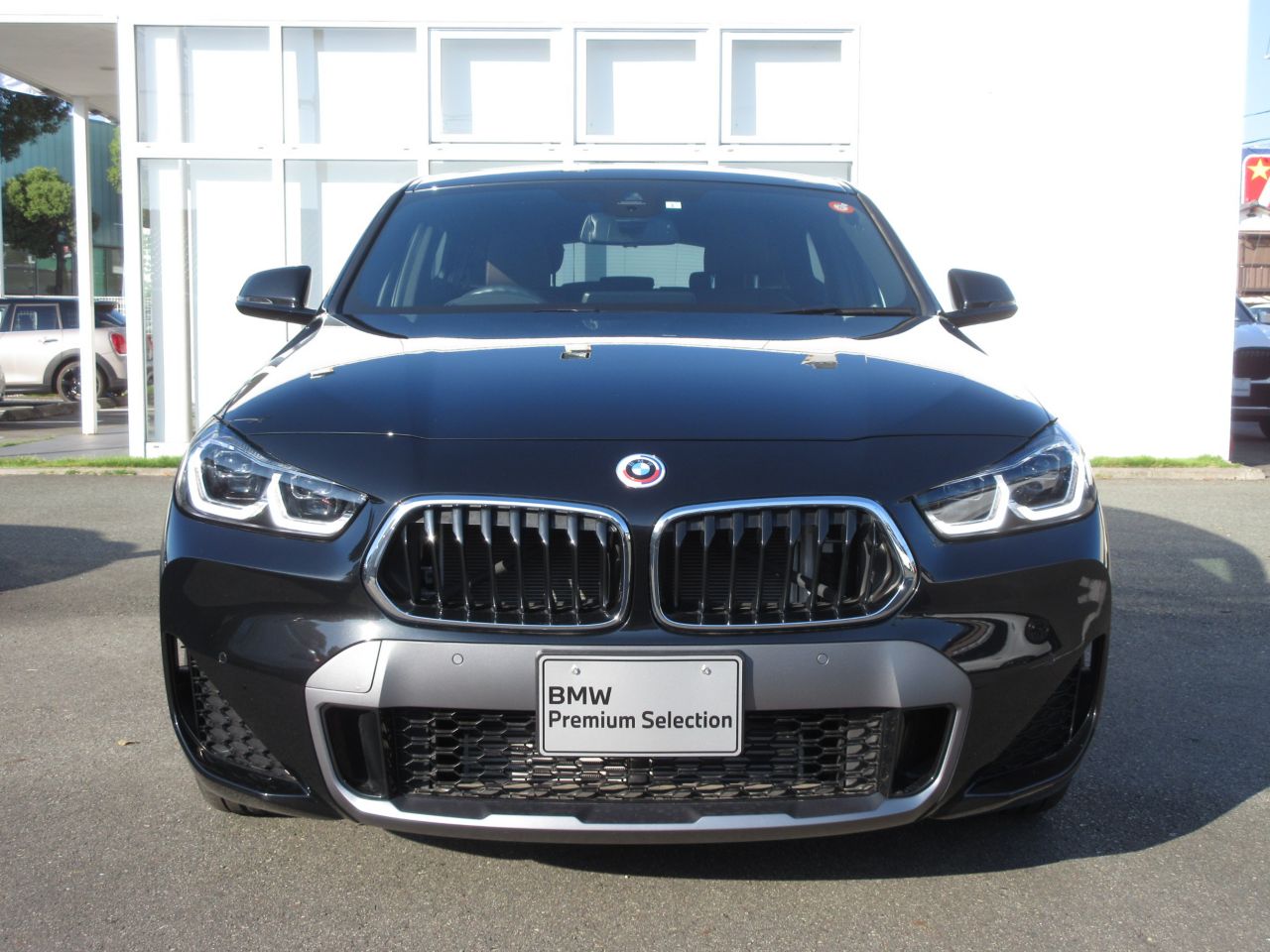 F39 X2 sDrive18i B38 1.5i SAC