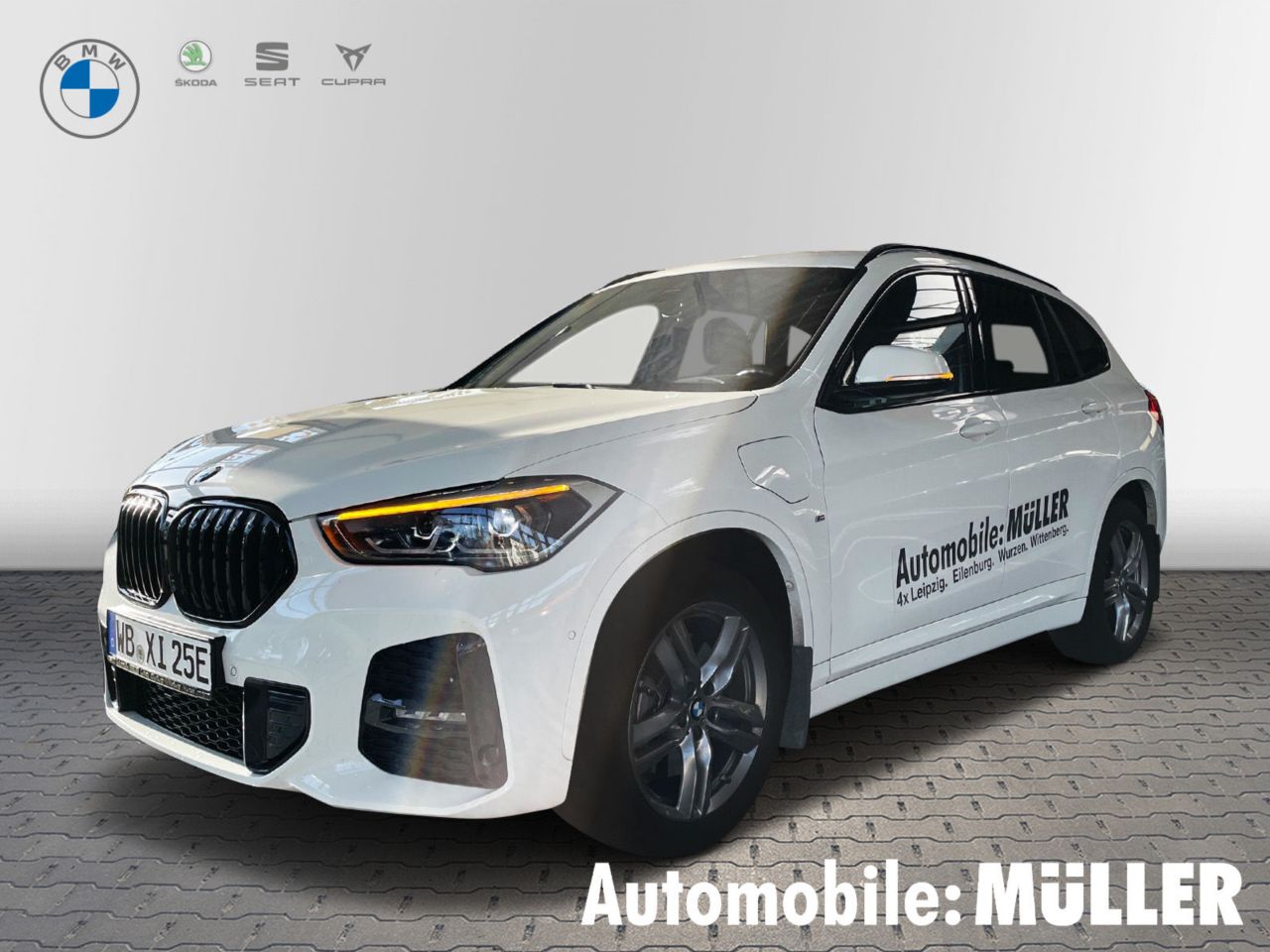 X1 xDrive25e