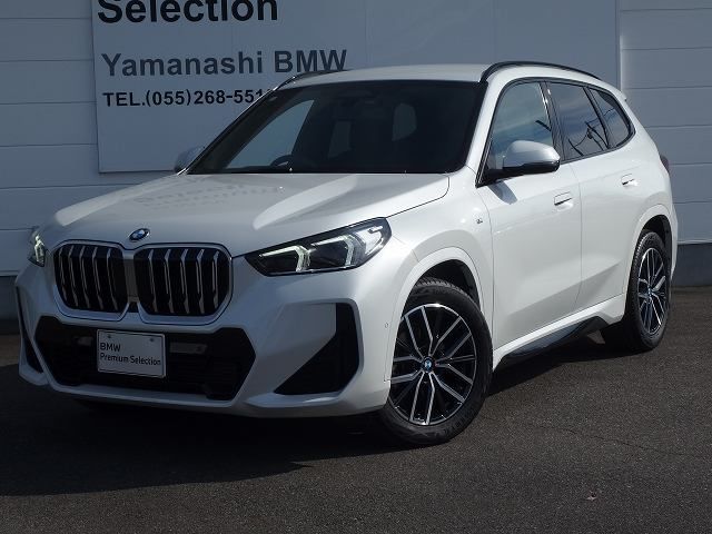 X1 xDrive20i M Sport