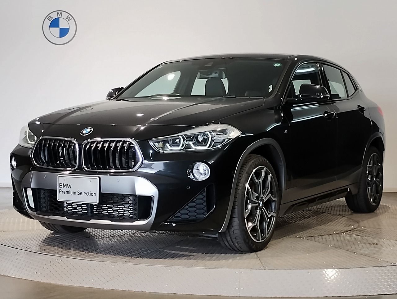 X2 sDrive18i M Sport X