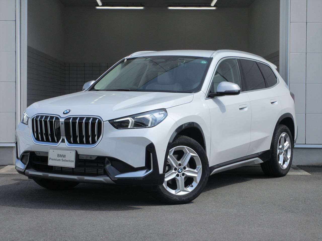 X1 xDrive20i xLine