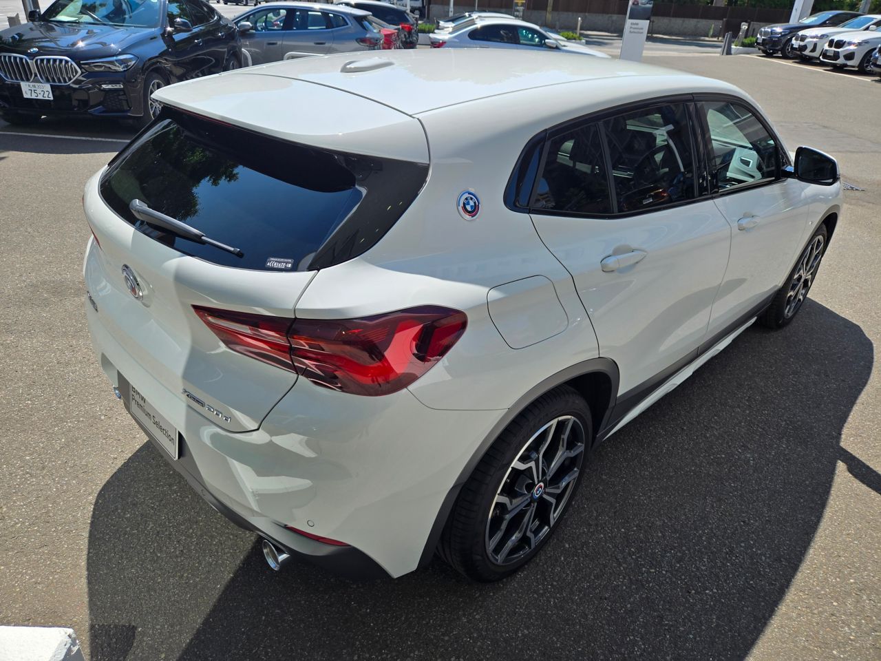 F39 X2 xDrive20d B47 2.0d