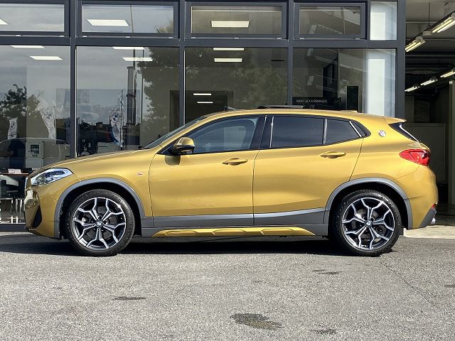 F39 X2 xDrive20i B48 2.0i SAC